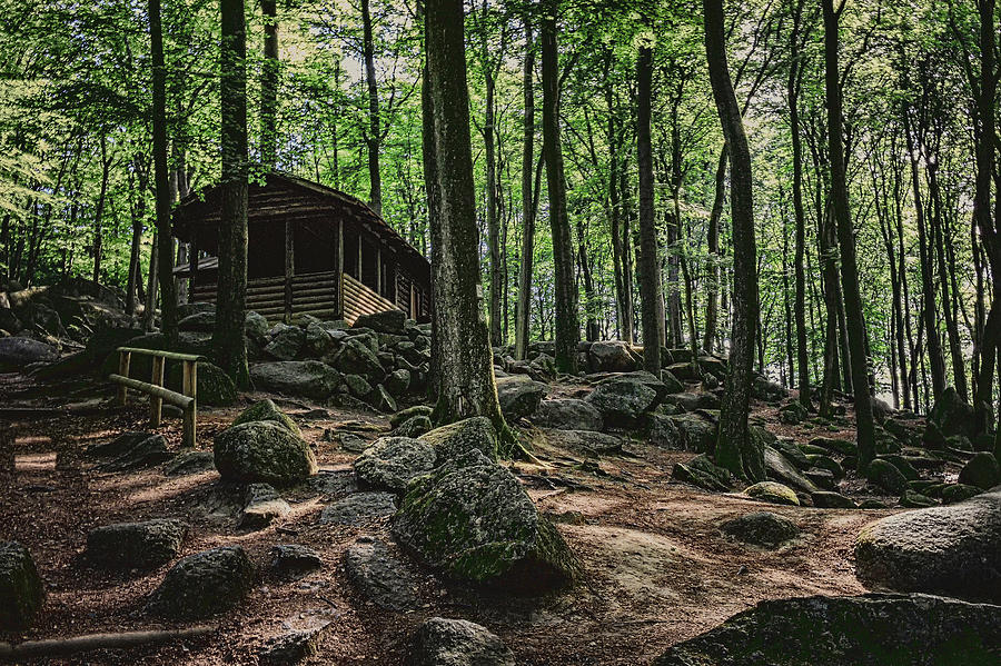 House in the Forest Photograph by Marc Braner