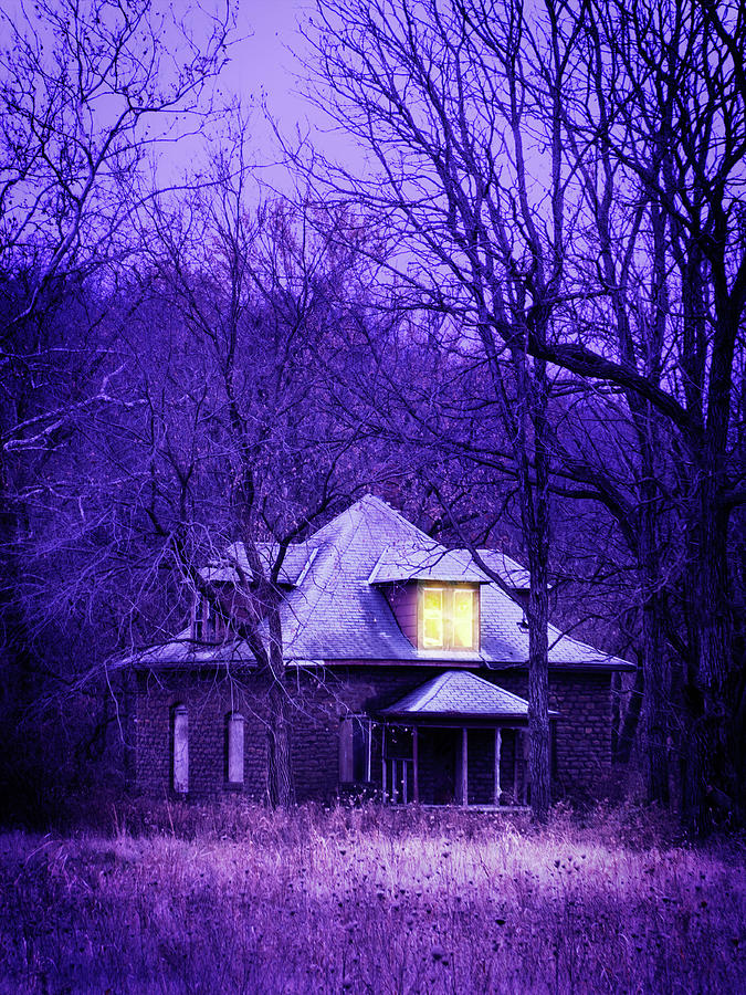 House In The Woods Photograph by Bud Simpson