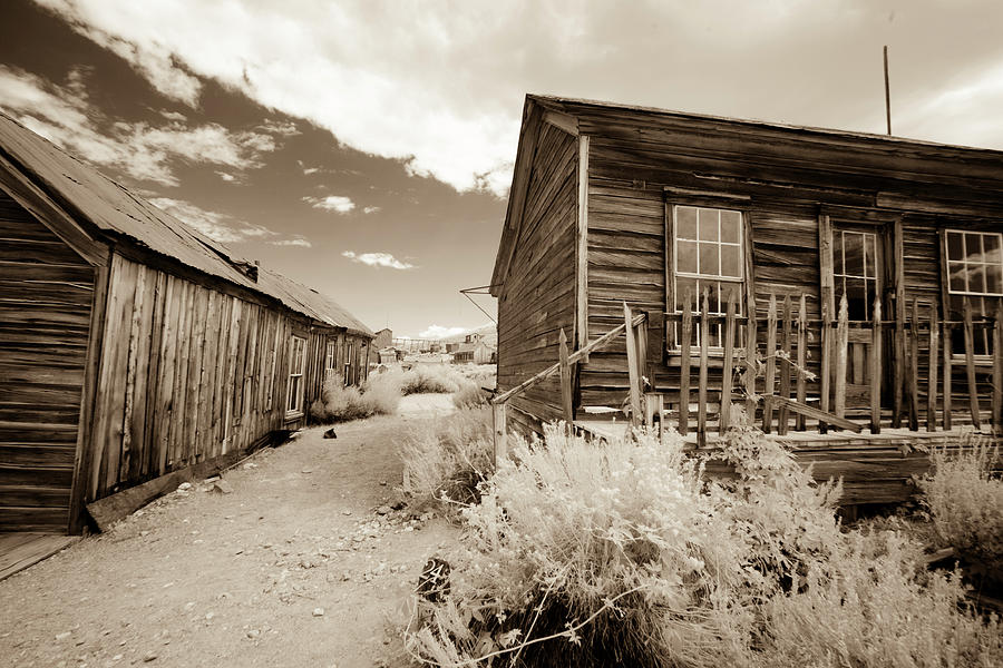 House on streed in Bodie, California in sepia Photograph by Karen Foley
