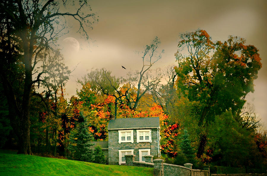 House on the Hill Photograph by Diana Angstadt