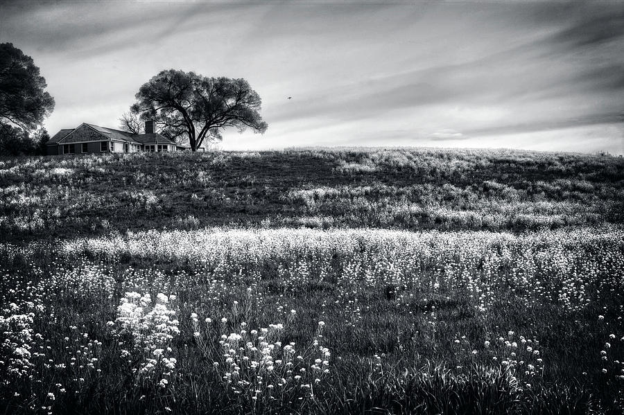 Flower Photograph - House On The Hill In Black and White by Greg and Chrystal Mimbs
