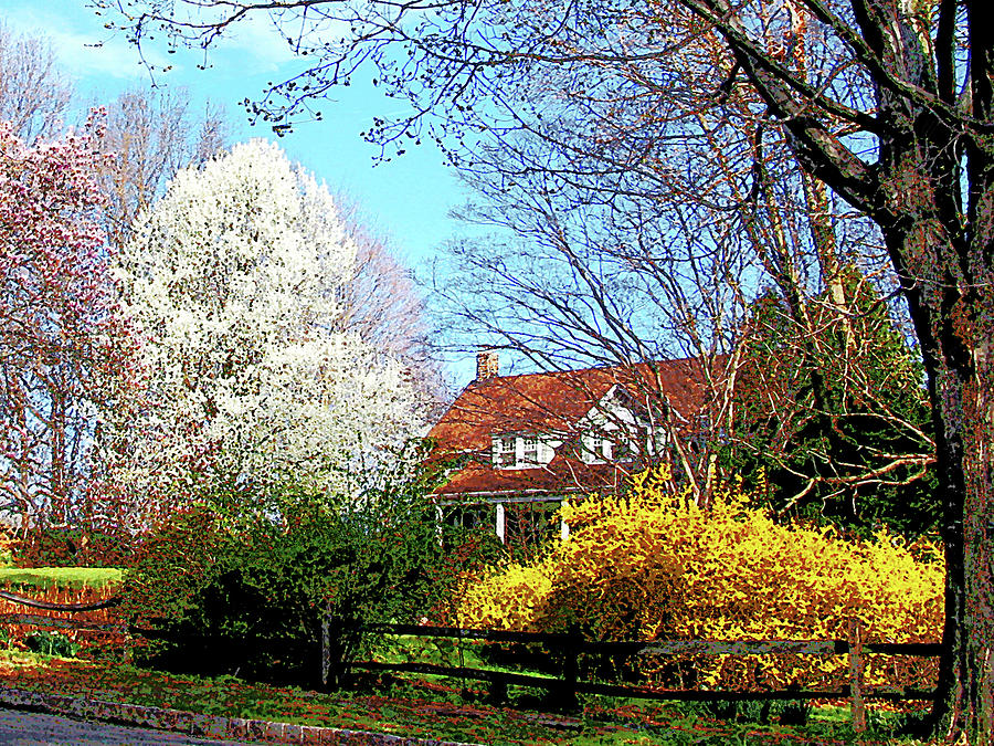 Spring Photograph - House on the Hill in Spring by Susan Savad