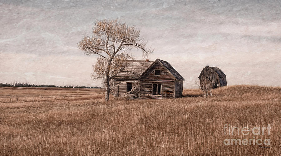 House on the Wyoming Plains Digital Art by Rebecca Langen