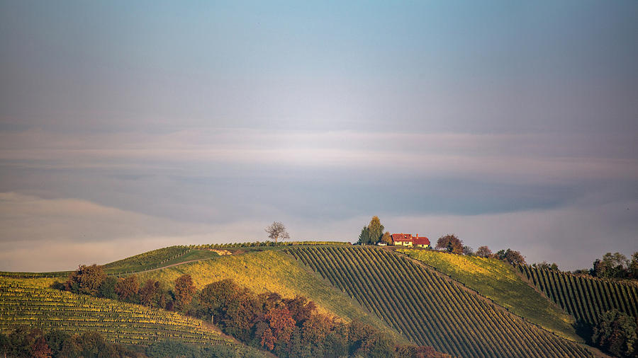 House on top of the hill Photograph by Davorin Mance