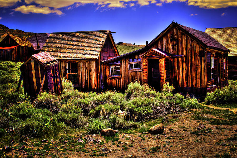 House, Shed and Outhouse Bodie Ghost Town Photograph by Roger Passman