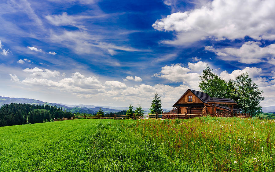 House with the view Photograph by Dmytro Korol