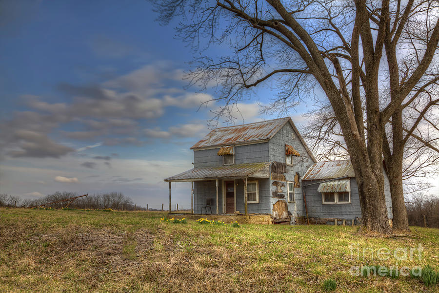 2016 Photograph - House Under A Tree by Larry Braun 2016 Photograph - House Under A Tree by Larry Braun