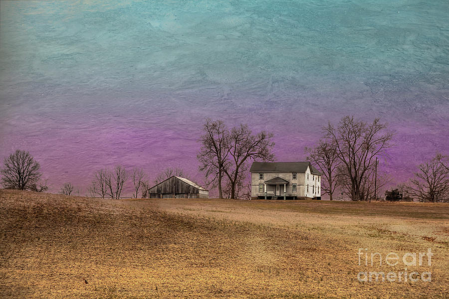 Winter Photograph - House with Dead Trees by Larry Braun