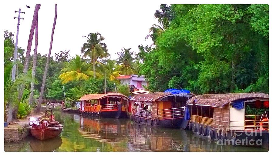 Houseboats of Kerala Photograph by Hilary England - Fine Art America