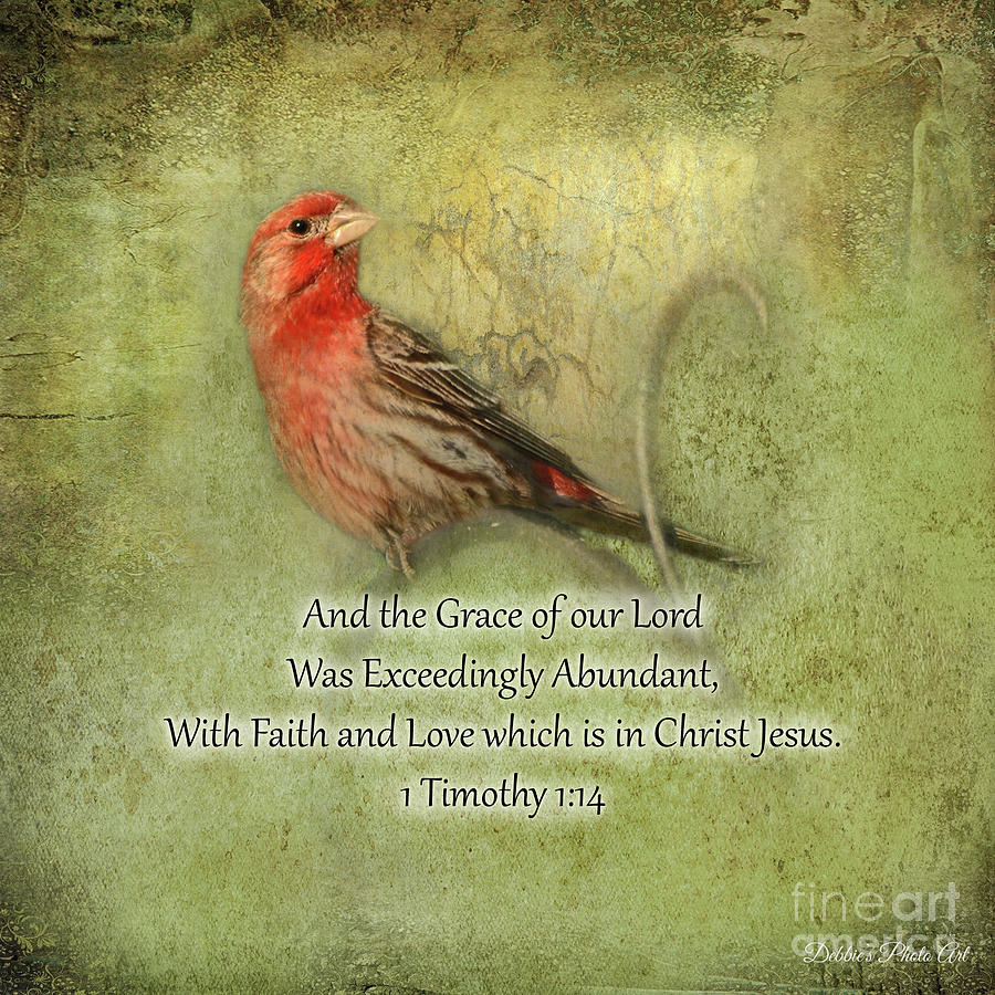 Housefinch with Verse - SQUARE Photograph by Debbie Portwood