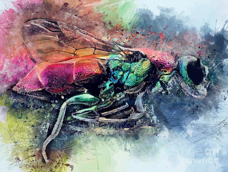 Housefly watercolor painting Painting by Justyna Jaszke JBJart