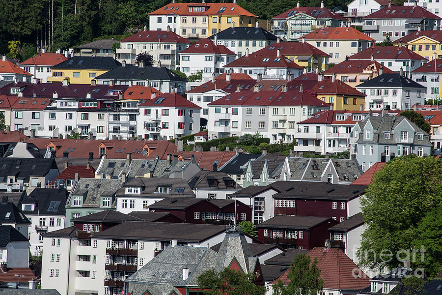 Houses in Bergen, Norway Photograph by Sheila Smart Fine Art Photography