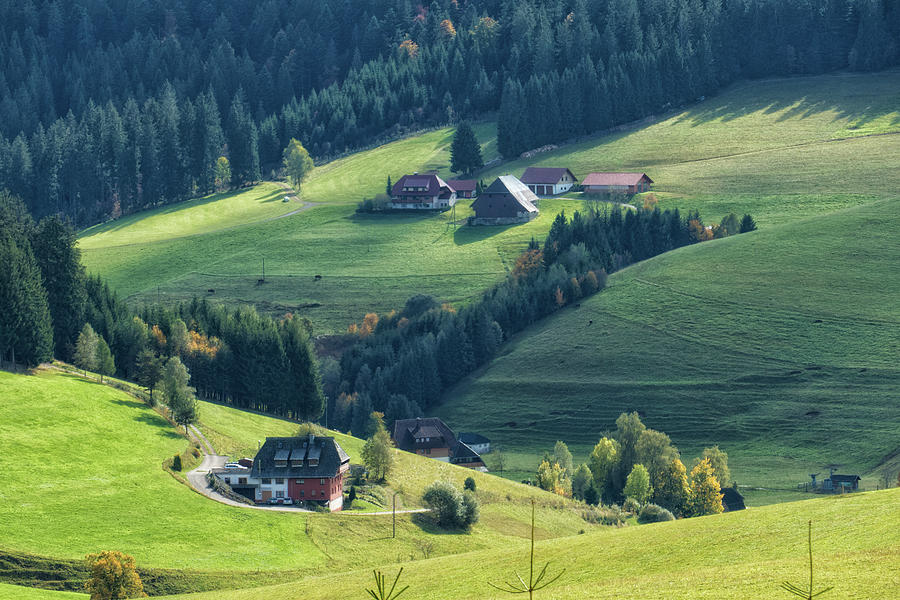 Houses in Black Forest Germany Photograph by Matthias Hauser