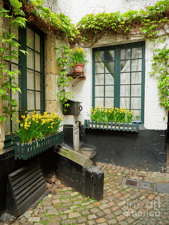 Houses with an outdoor water pump in old town Antwerp Belgium Photograph by Louise Heusinkveld