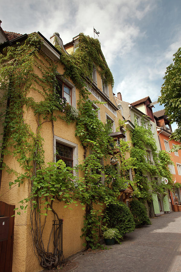 Houses with Creepers in Old City Photograph by Aivar Mikko