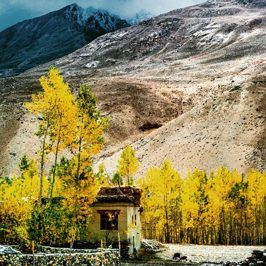 Mountain Photograph - Housing In Zanskar by Aleck Cartwright