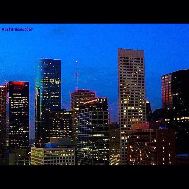 Houston Photograph - #houston #skyline At #night. #lights by Austin Tuxedo Cat