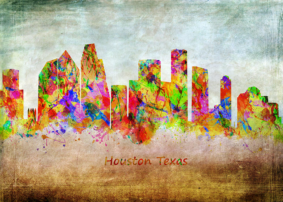 Houston Texas - 14 Photograph by Chris Smith