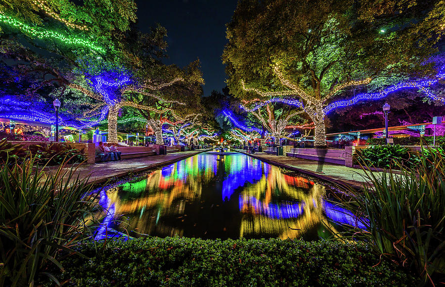 Houston Zoo Christmas Lights Photograph by Micah Goff