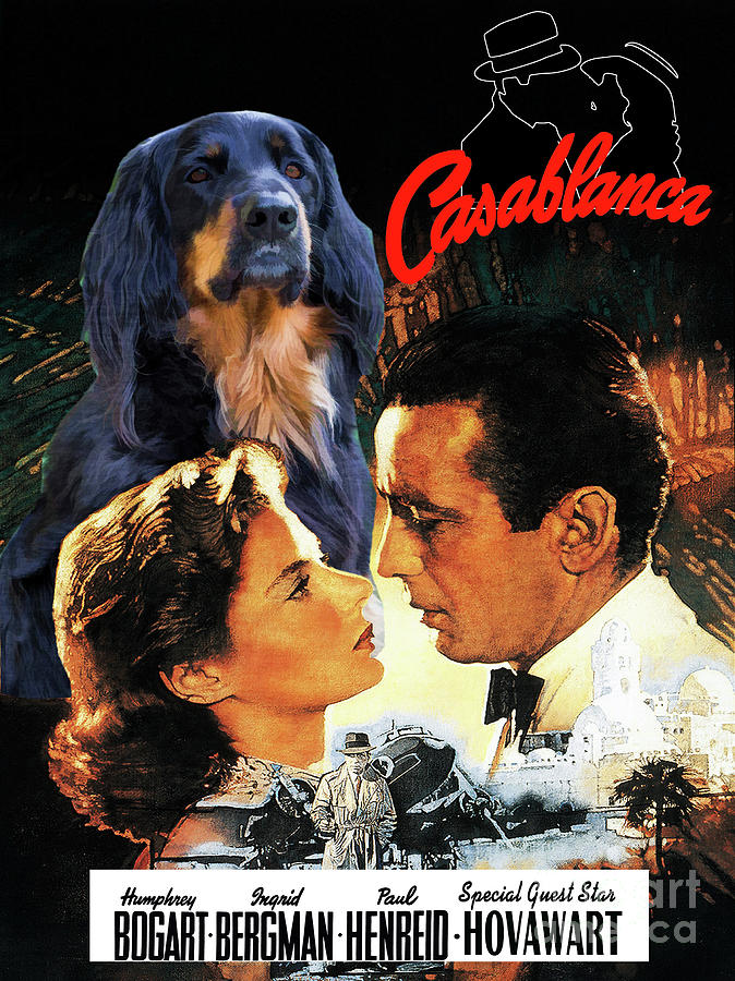 Hovawart Art Canvas Print - Casablanca Movie Poster Painting by Sandra Sij