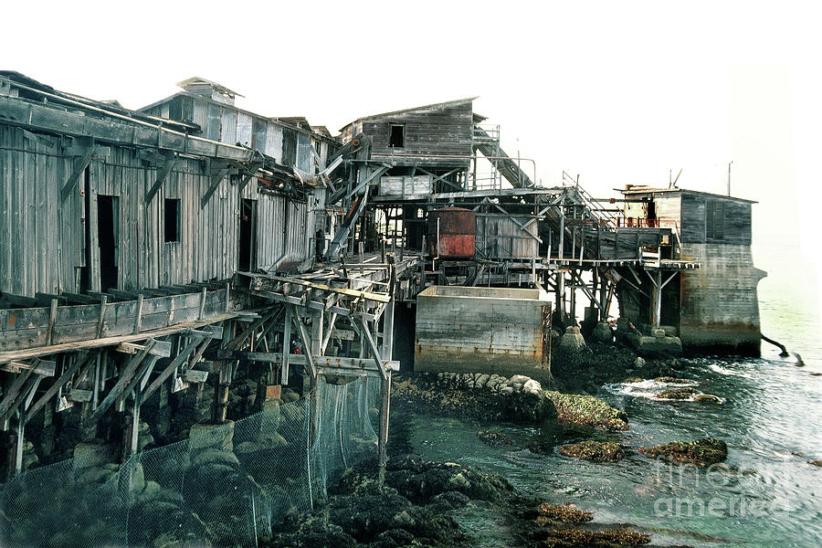 Sardines Photograph - Hovden Cannery Pump House, Cannery Row May 1980 by Monterey County Historical Society