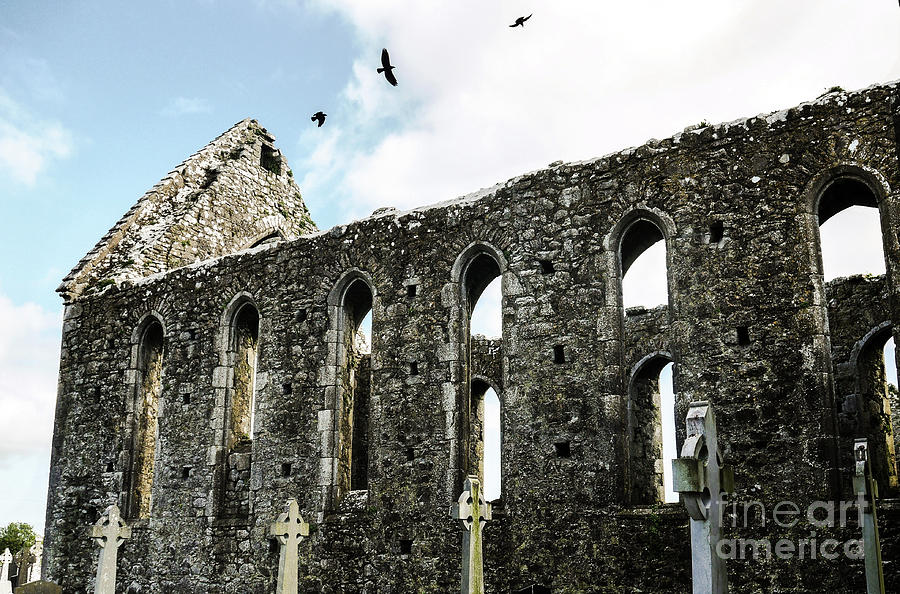 Birds Hovering over Abbey Photograph by Lexa Harpell