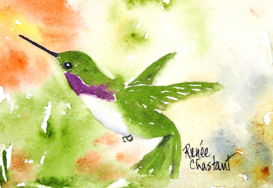 Hummingbird Painting - Hovering Costa II by Renee Chastant Hummingbird Painting - Hovering Costa II by Renee Chastant