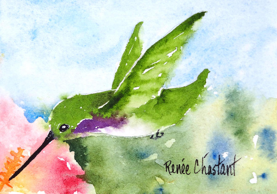 Hummingbird Painting - Hovering Costas Hummingbird by Renee Chastant