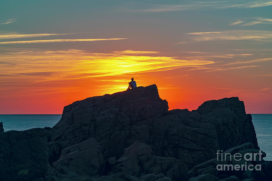 Hovs Hallar Lonesome Sunset Photograph by Antony McAulay