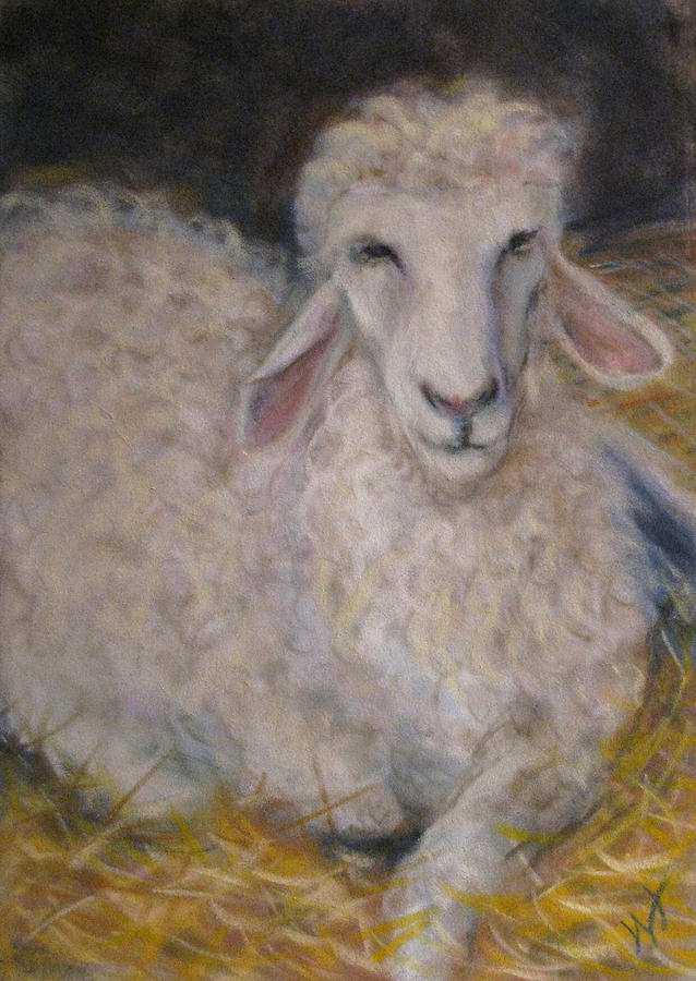 Sheep Pastel - How Did I End Up Here by Wendie Thompson