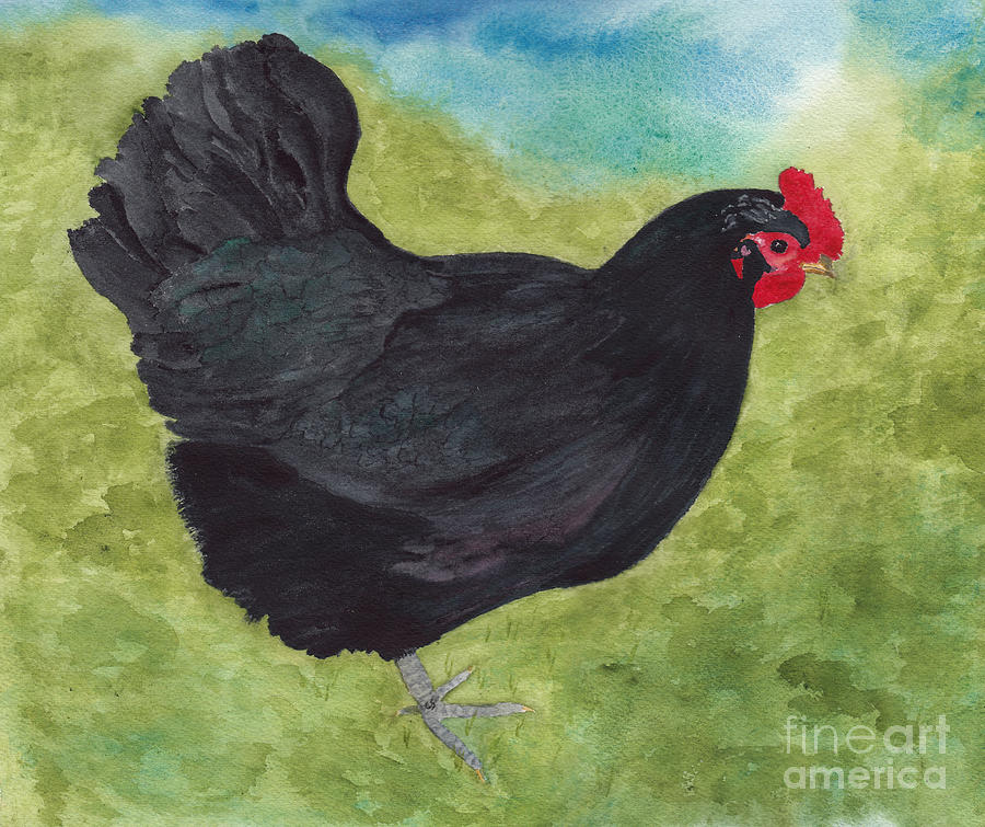 How Do You Like My Little Black Dress? Iridescent Black Hen Painting by Conni Schaftenaar
