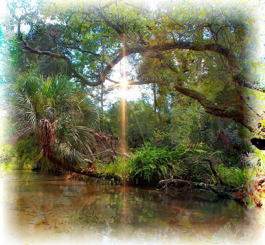 How I See Florida Photograph by Sheri McLeroy