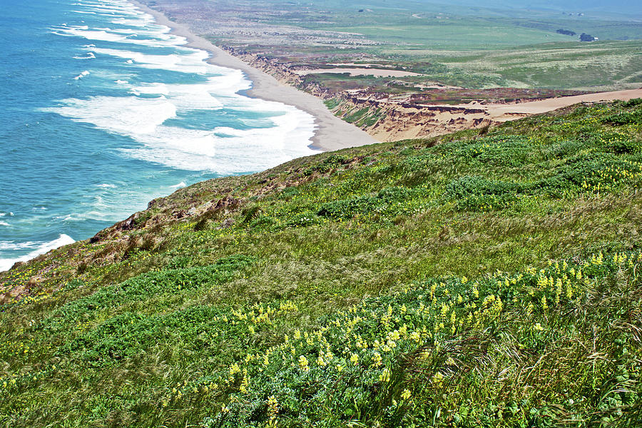 How Land and Sea Meet at Point Reyes National Seashore, California  Photograph by Ruth Hager