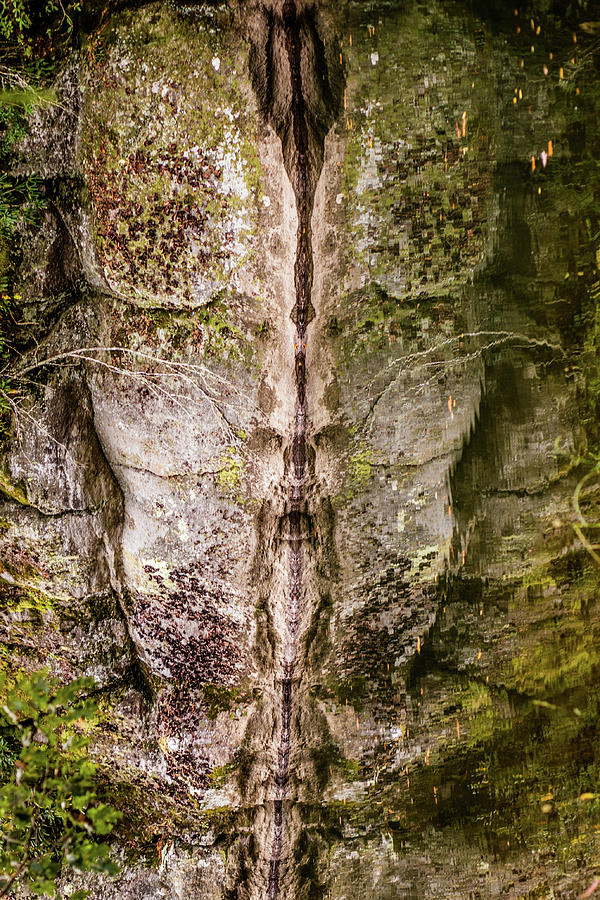 How Many Faces Do You See? Photograph by Lisa Lemmons-Powers