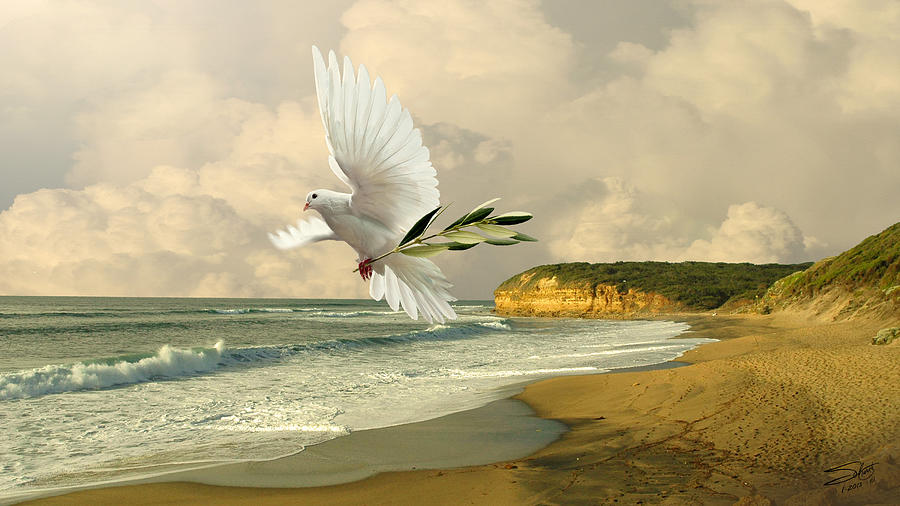 Dove Digital Art - How Many Seas Must a White Dove Sail? by M Spadecaller