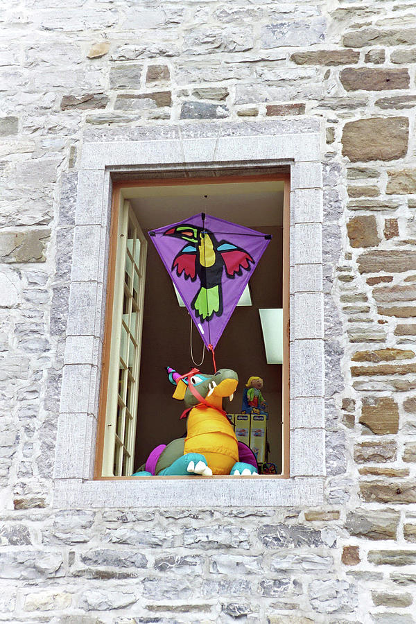 How much is that Dragon in the window Photograph by John Schneider