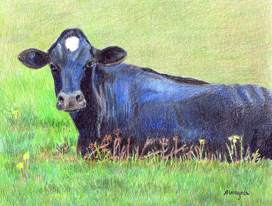 How Now Blue Cow Drawing by Arline Wagner