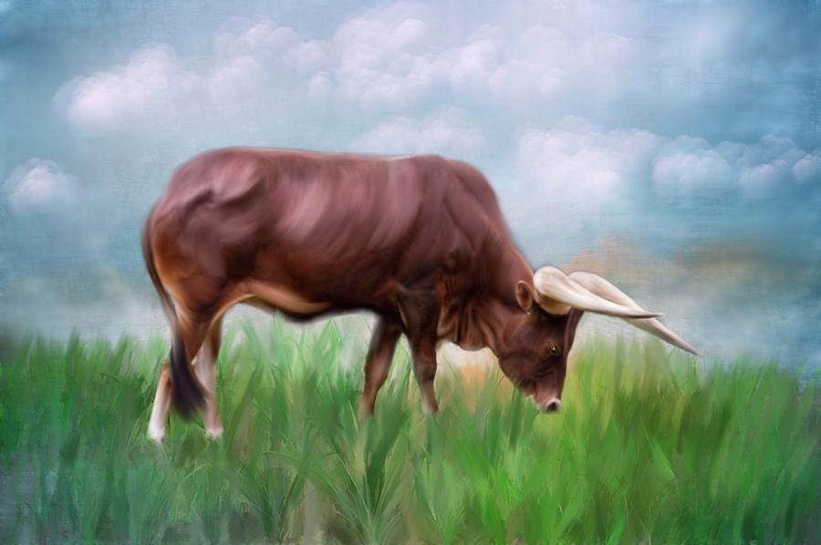 How Now Brown Cow Mixed Media by Mary Timman