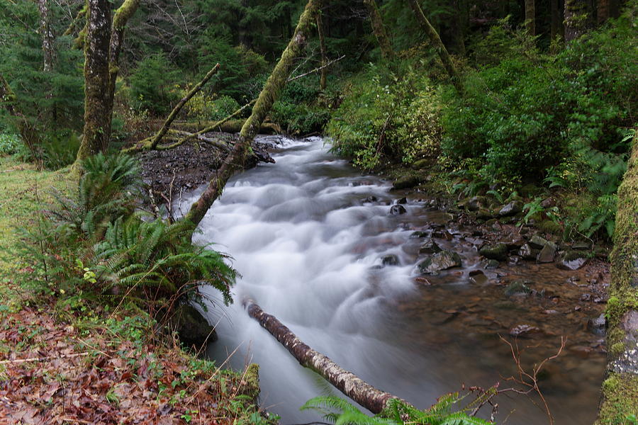 How the river flows Photograph by Jeff Swan