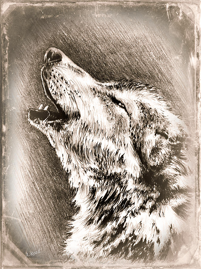 Howling Wolf edit 2 Painting by Andrew Read