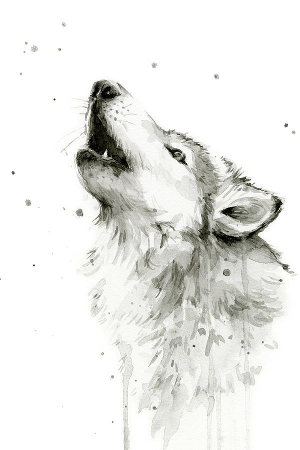 Watercolor Painting - Howling Wolf Watercolor by Olga Shvartsur