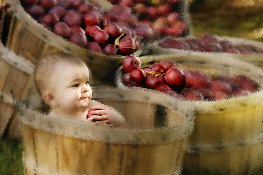Hows Them apples Photograph by George Robinson