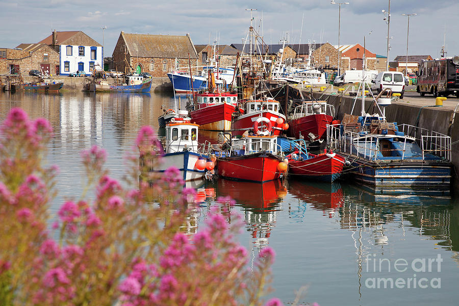 Boat Photograph - Howth harbour by Gabriela Insuratelu