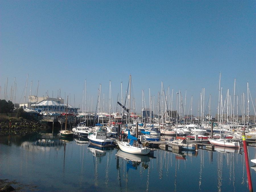 paddy judge howth yacht club