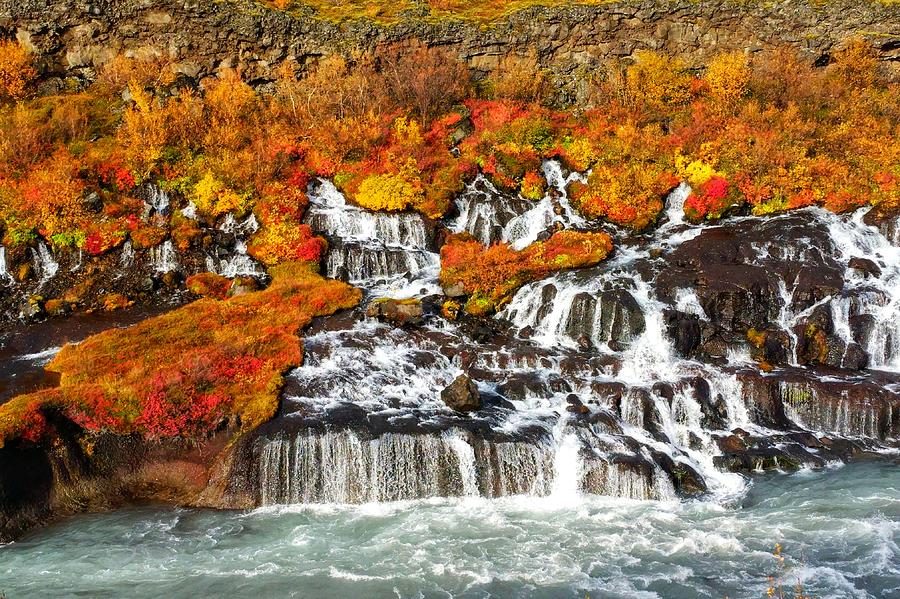 Hraunfossar in Fall Photograph by William Slider