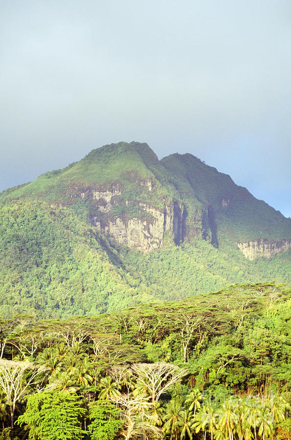 Huahine forest and mountaintop Photograph by Erik Aeder - Printscapes