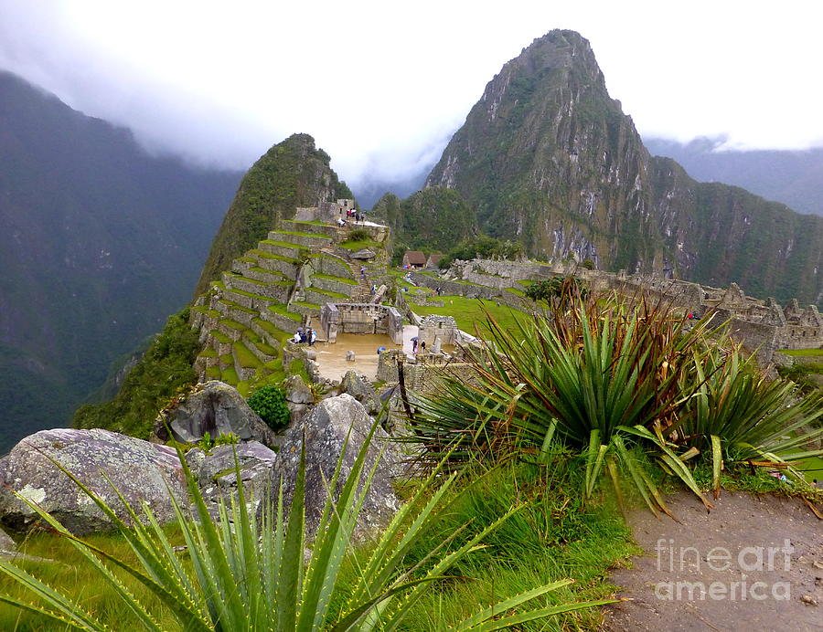 Huayna Picchu Photograph by Maxine Kamin