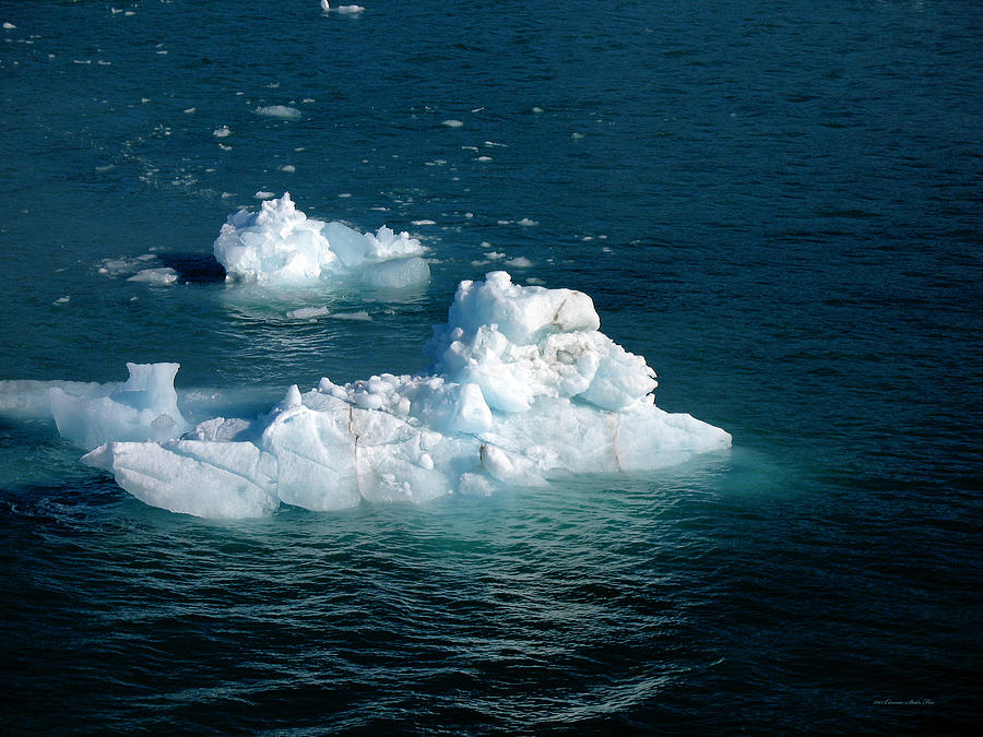 Landscape Photograph - Hubbard Glacier Icebergs by Connie Fox