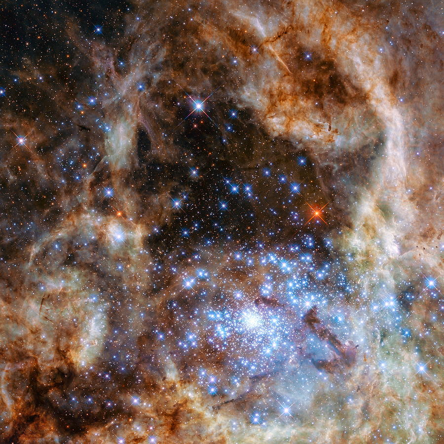 Hubble Finds Massive Stars Photograph by Eric Glaser