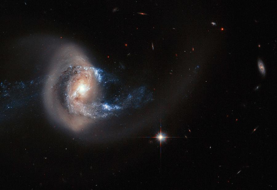 Hubble image of NGC 7714 Painting by Celestial Images